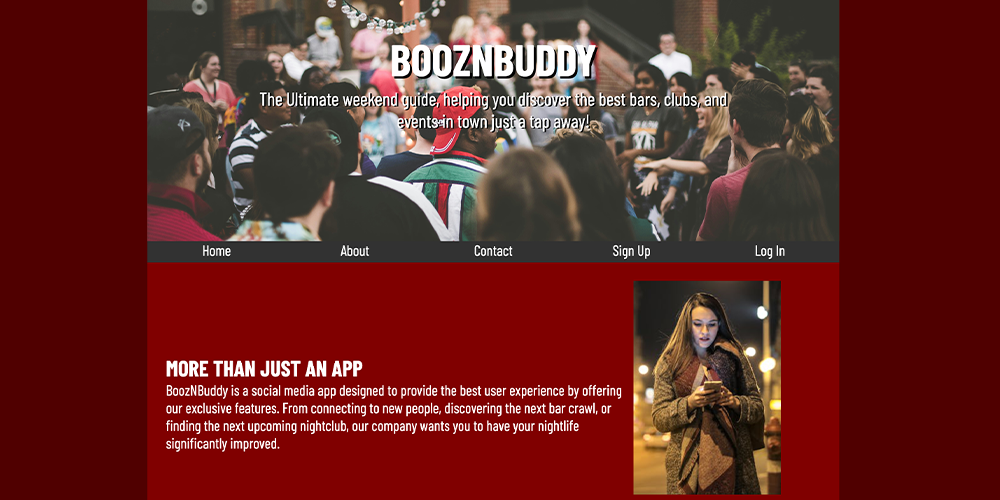 desktopview-of-website-for-boozyn-buddy